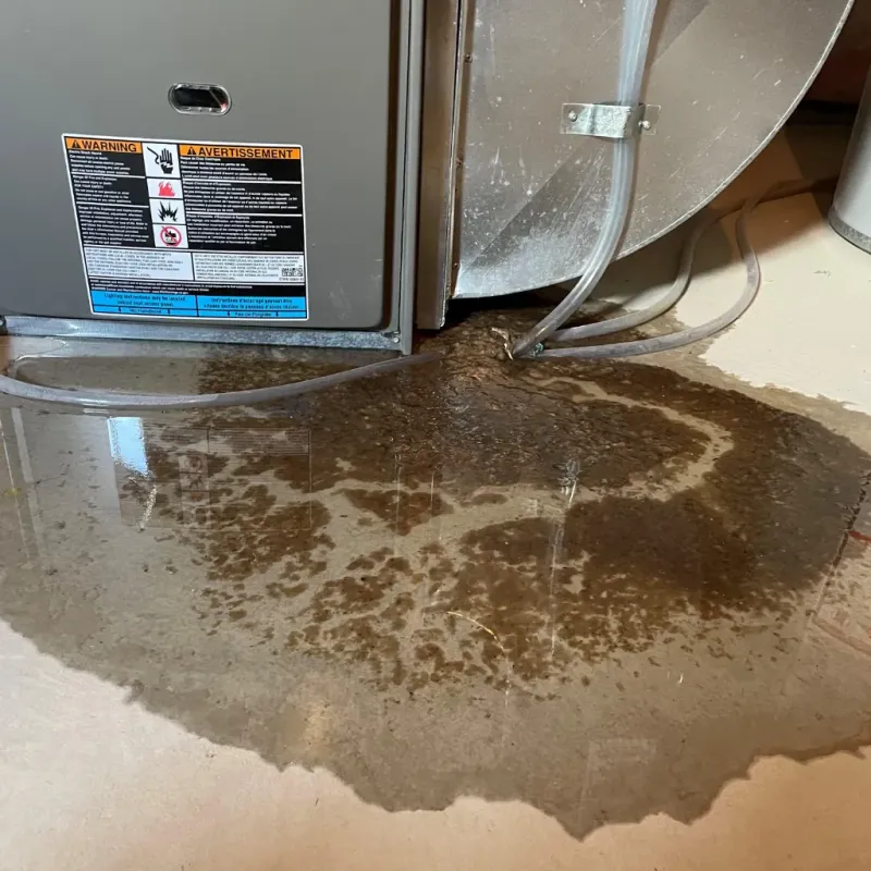 Appliance Leak Cleanup in Lufkin, TX