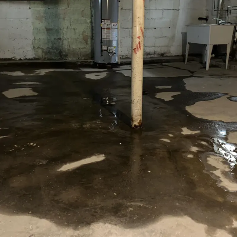 Emergency Water Extraction And Removal in Lufkin, TX